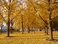 Hobby_AUTUMN_007S_mini.jpg