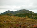 Hobby_AUTUMN_011S_mini.jpg