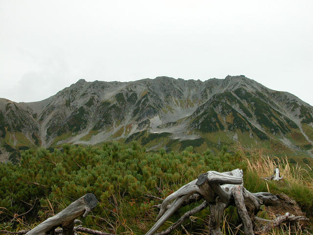 Hobby_AUTUMN_013S.jpg