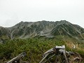 Hobby_AUTUMN_013S_mini.jpg