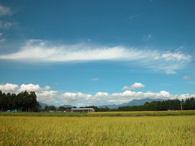 Hobby_AUTUMN_014S.jpg