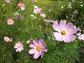 Hobby_AUTUMN_015S_mini.jpg
