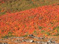 Hobby_AUTUMN_017S_mini.jpg