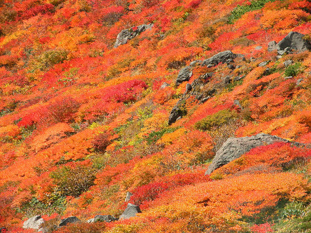 Hobby_AUTUMN_018S.jpg
