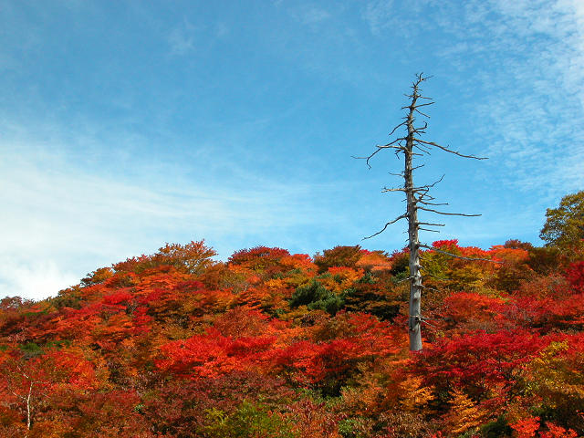 Hobby_AUTUMN_020S.jpg