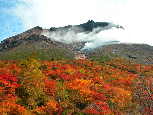 Hobby_AUTUMN_021S.jpg