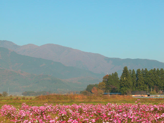 Hobby_AUTUMN_023S.jpg
