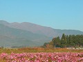 Hobby_AUTUMN_023S_mini.jpg