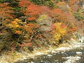 Hobby_AUTUMN_024S_mini.jpg