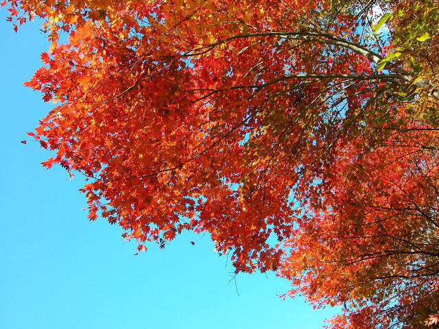Hobby_AUTUMN_025S.jpg