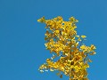 Hobby_AUTUMN_026S_mini.jpg