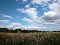 Hobby_AUTUMN_029S_mini.jpg