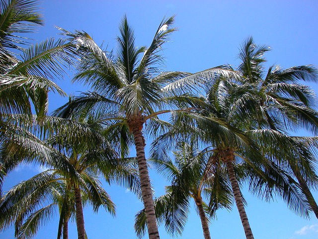 Hobby_BEACH_003S.jpg
