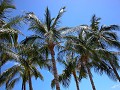 Hobby_BEACH_003S_mini.jpg