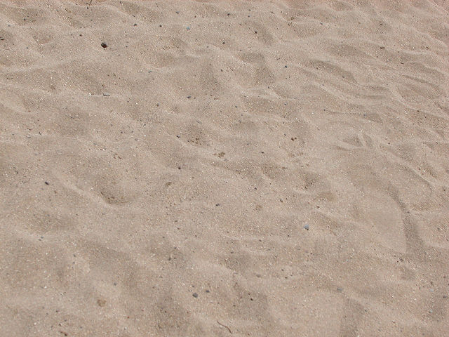 Hobby_BEACH_005S.jpg
