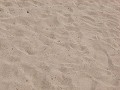 Hobby_BEACH_005S_mini.jpg