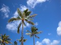 Hobby_BEACH_007S_mini.jpg