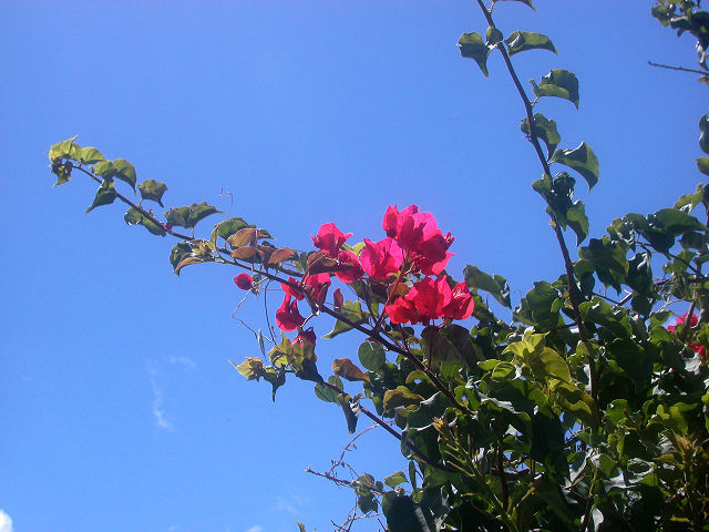Hobby_BEACH_008S.jpg