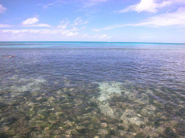 Hobby_BEACH_012S.jpg