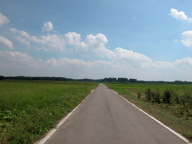 Hobby_OTHER_005.jpg