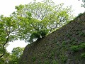 Hobby_OTHER_015_mini.jpg