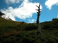Hobby_OTHER_020_mini.jpg