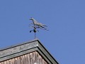 Hobby_OTHER_030_mini.jpg