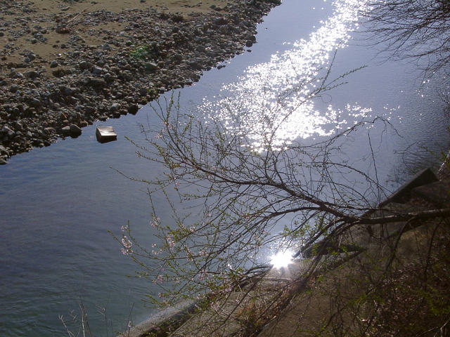 Hobby_SPRING_001S.jpg