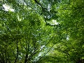Hobby_SPRING_004S_mini.jpg