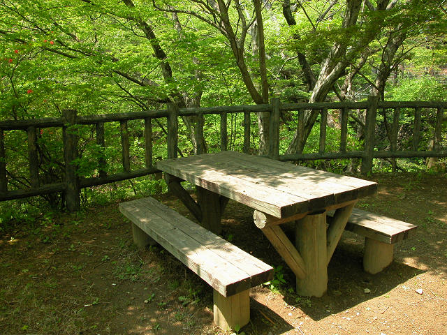 Hobby_SPRING_012S.jpg