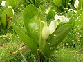 Hobby_SPRING_013S_mini.jpg