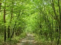 Hobby_SPRING_015S_mini.jpg