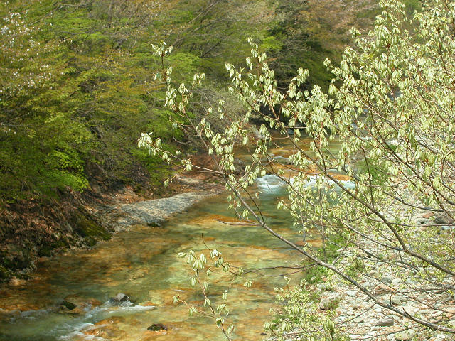 Hobby_SPRING_017S.jpg