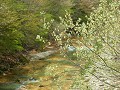 Hobby_SPRING_017S_mini.jpg