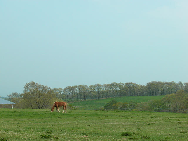 Hobby_SPRING_019S.jpg