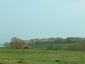 Hobby_SPRING_019S_mini.jpg