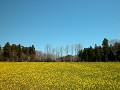 Hobby_SPRING_021S_mini.jpg