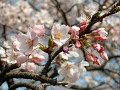 Hobby_SPRING_023S_mini.jpg