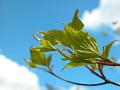 Hobby_SPRING_025S_mini.jpg