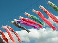 Hobby_SPRING_027S_mini.jpg