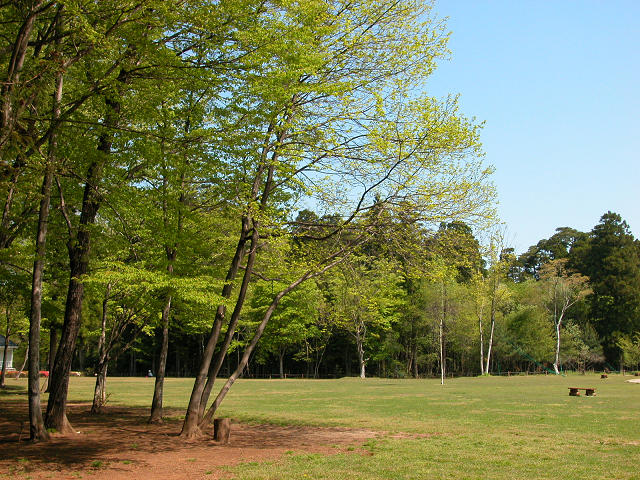 Hobby_SPRING_030S.jpg