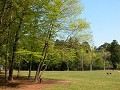 Hobby_SPRING_030S_mini.jpg