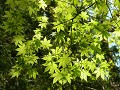 Hobby_SPRING_032S_mini.jpg
