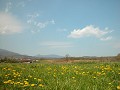 Hobby_SPRING_033S_mini.jpg