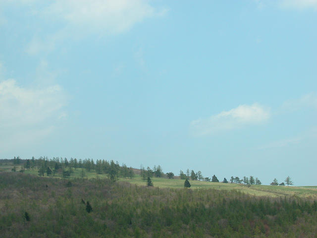 Hobby_SPRING_034S.jpg