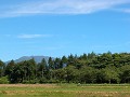Hobby_SPRING_036S_mini.jpg