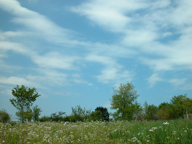 Hobby_SPRING_037S.jpg