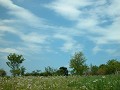 Hobby_SPRING_037S_mini.jpg