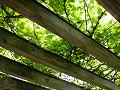 Hobby_SPRING_038S_mini.jpg
