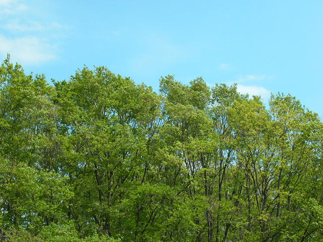 Hobby_SPRING_039S.jpg